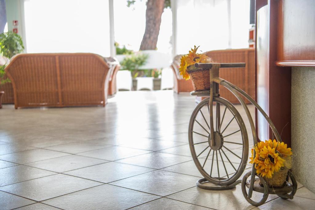 Ciccio Hotel 米萨诺阿德里亚蒂科 外观 照片